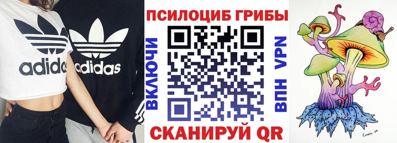 Псилоцибиновые грибы MAGIC MUSHROOMS  Купить закладки  Горно-Алтайск 